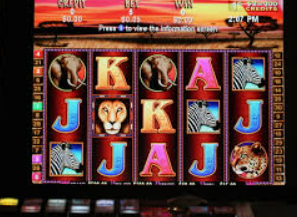 问鼎wd28娱乐手机版