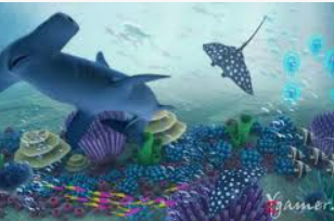 问鼎wd28娱乐2024最新版