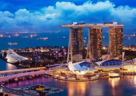 问鼎wd28娱乐手机版